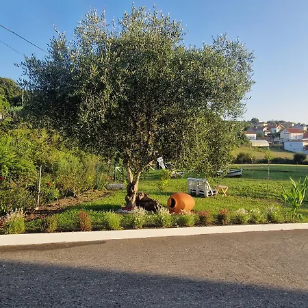 Guest house Pr Casa Savi