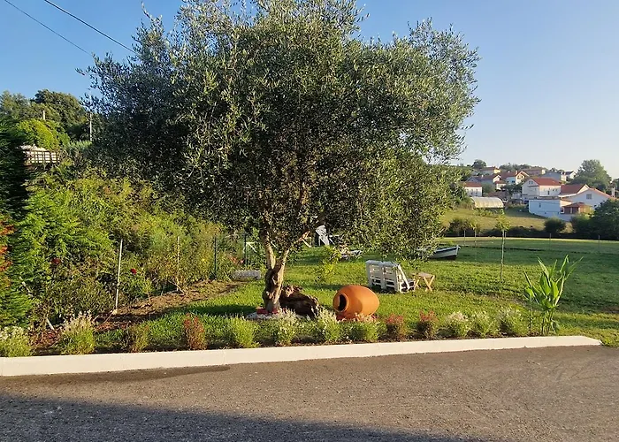 Pensjonat Pr Casa Savi